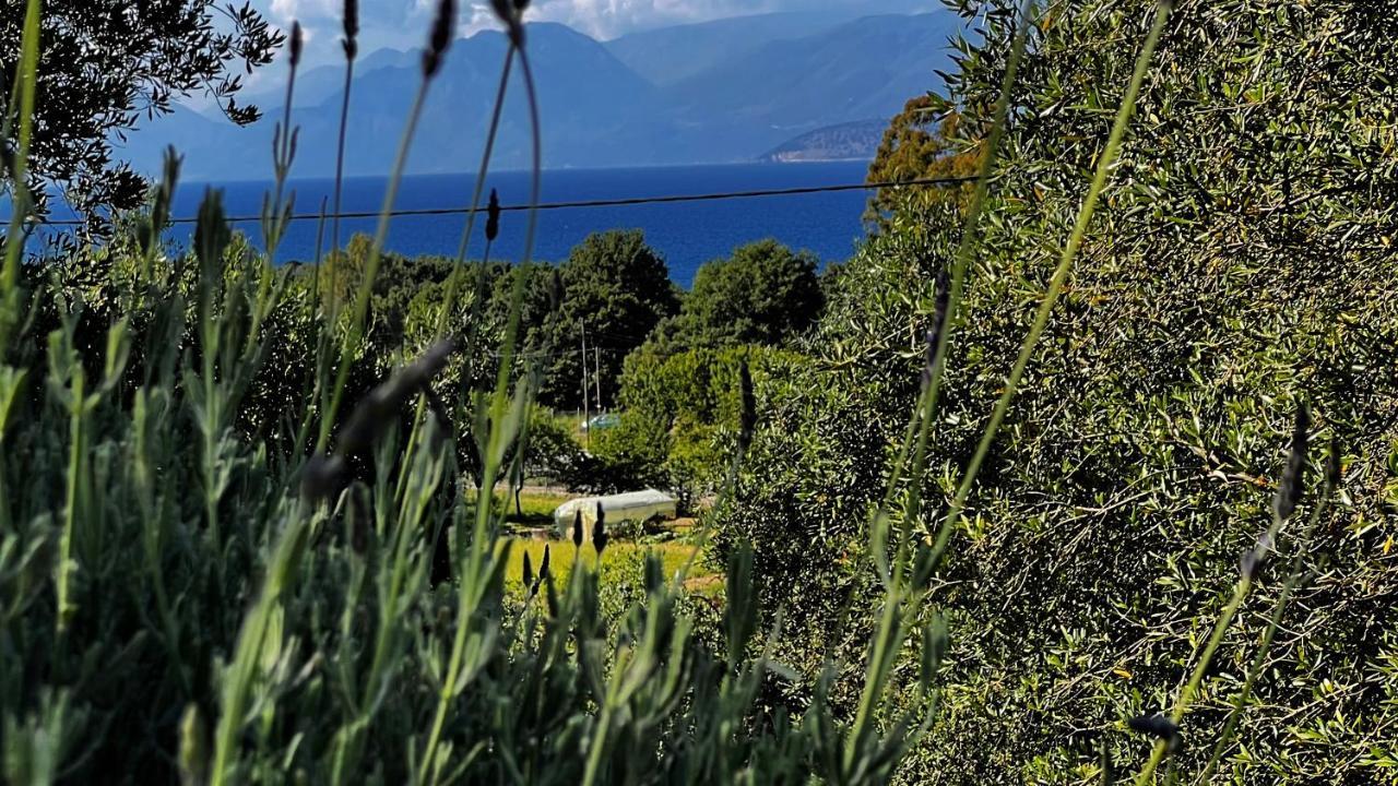 Villa Sania カシオピ エクステリア 写真